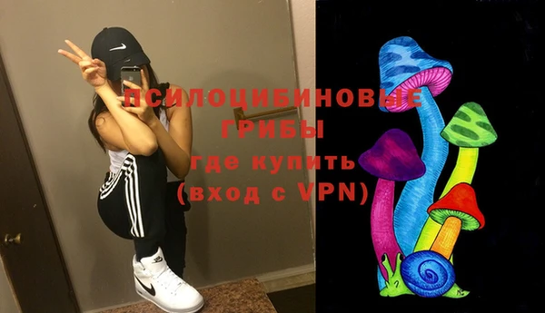 молекула духа Богданович