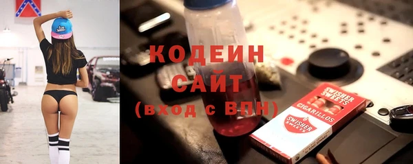 молекула духа Богданович