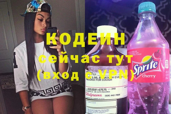 молекула духа Богданович