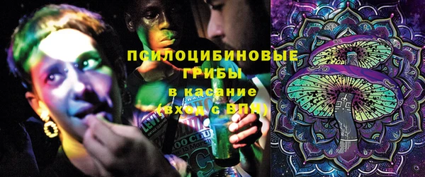 гашик Богородицк