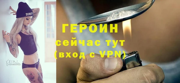 молекула духа Богданович