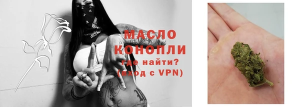 гашик Богородицк