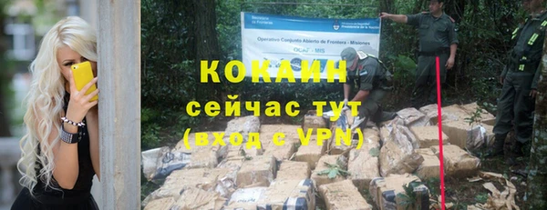 гашик Богородицк