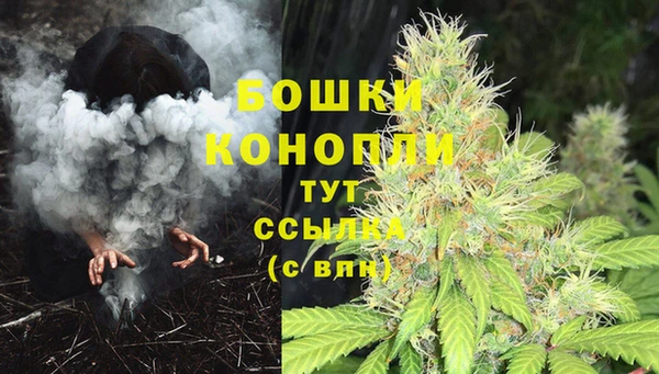 гашик Богородицк