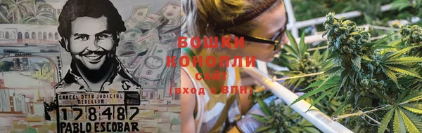 сатива Богородск