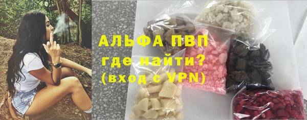 молекула духа Богданович