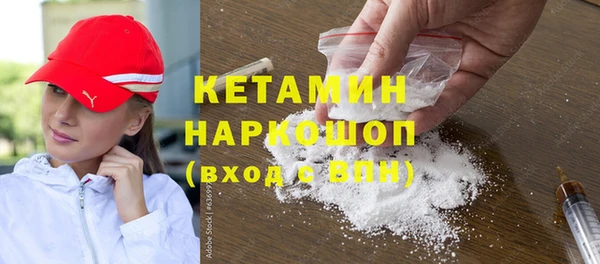 молекула духа Богданович