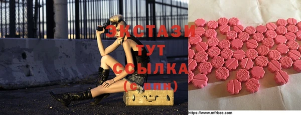 гашик Богородицк