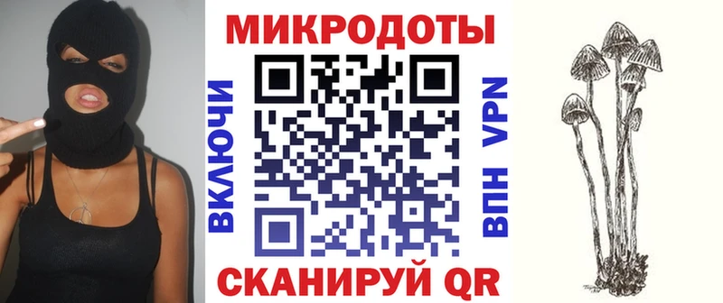 сколько стоит Павловск Псилоцибиновые грибы Magic Shrooms